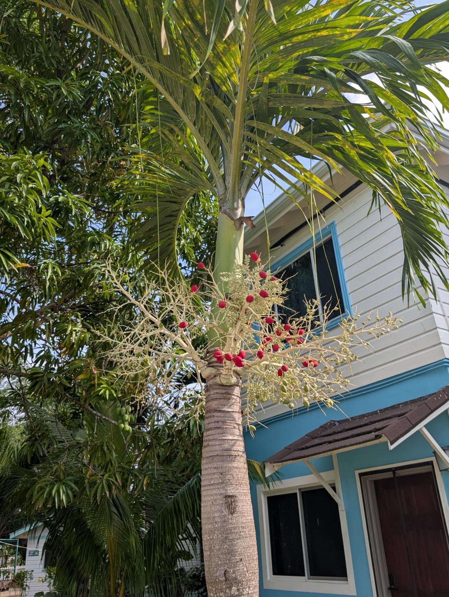 Yoga Dreams Negril Hotel Exterior foto