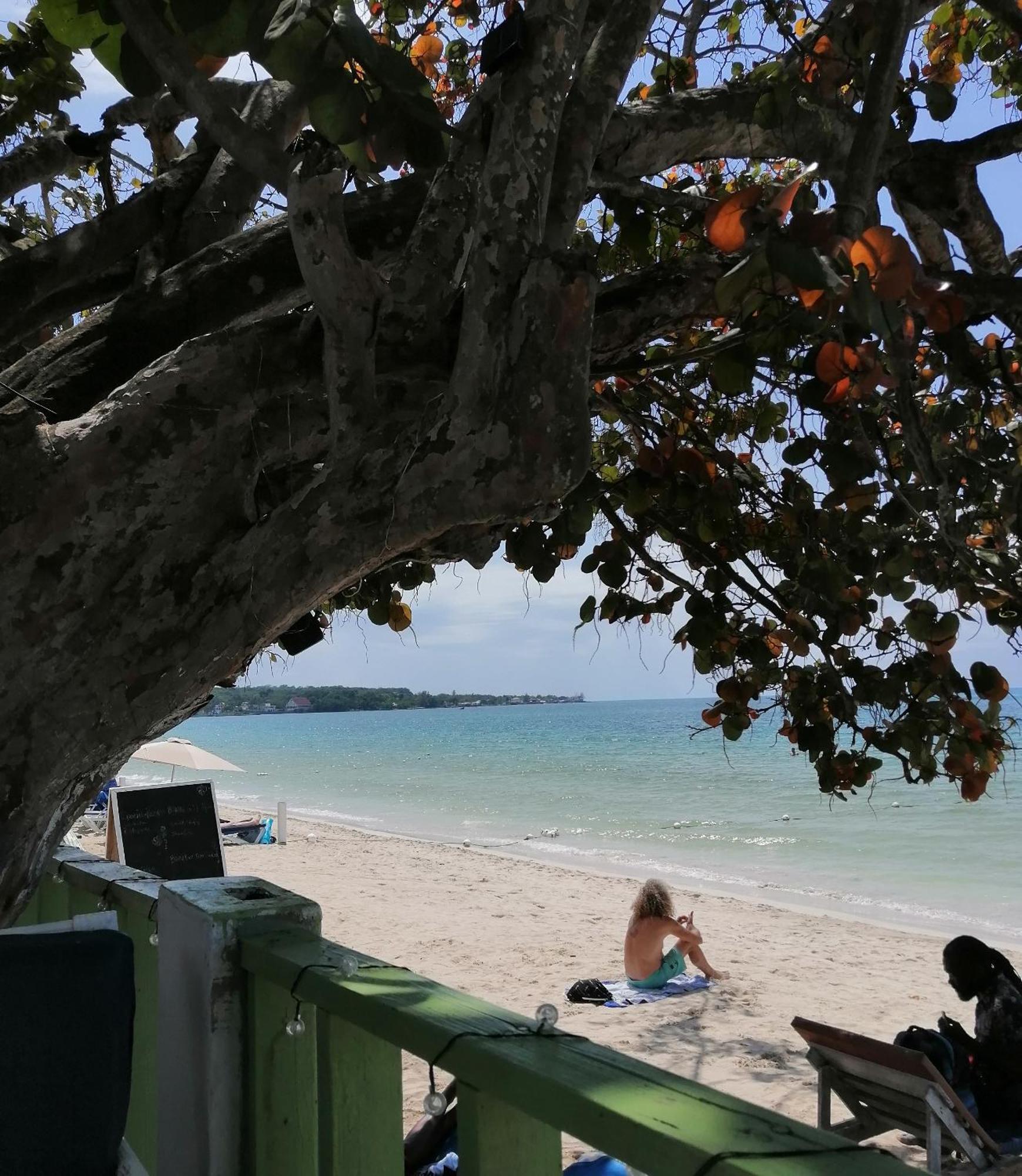 Yoga Dreams Negril Hotel Exterior foto