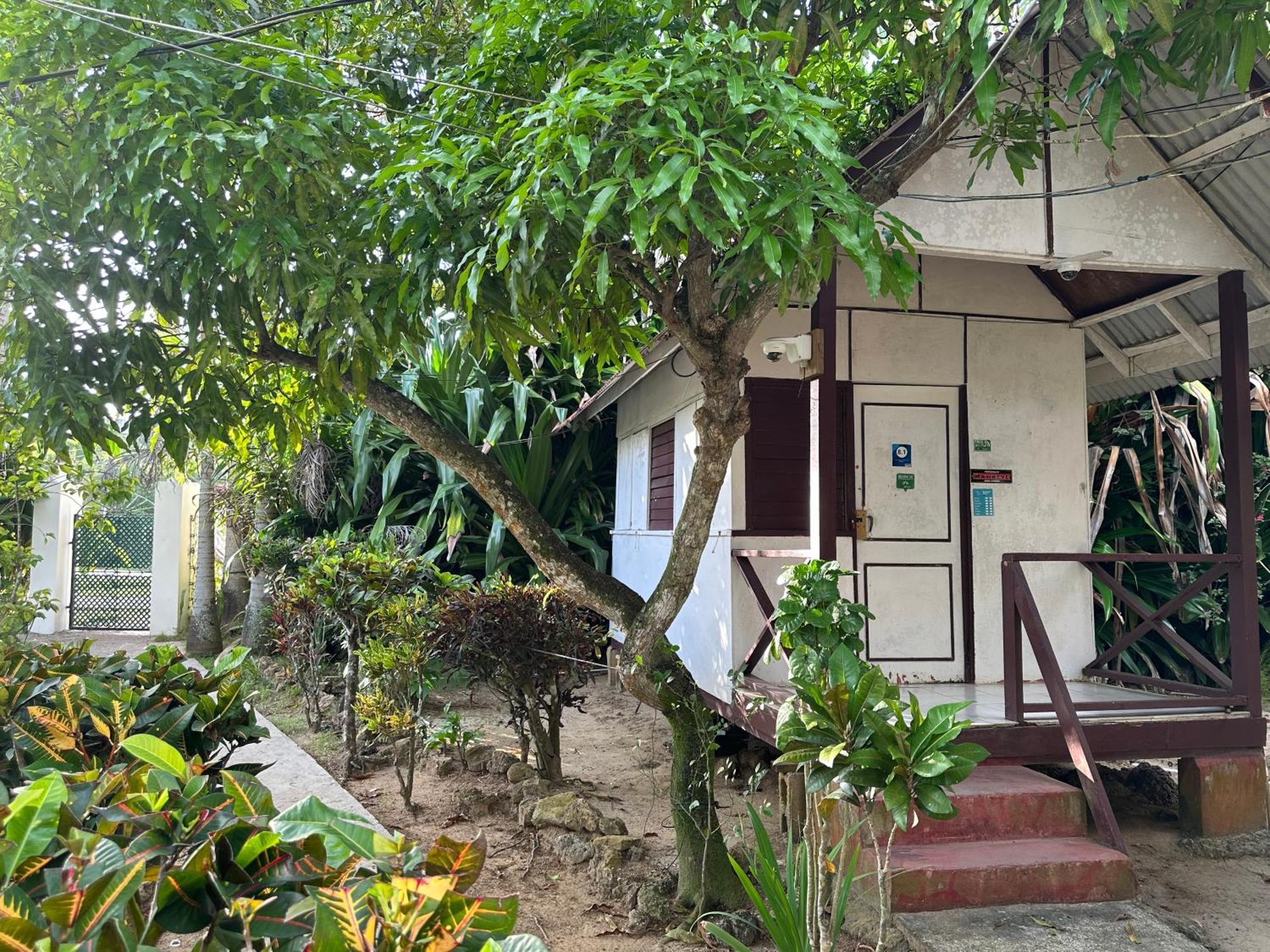 Yoga Dreams Negril Hotel Exterior foto