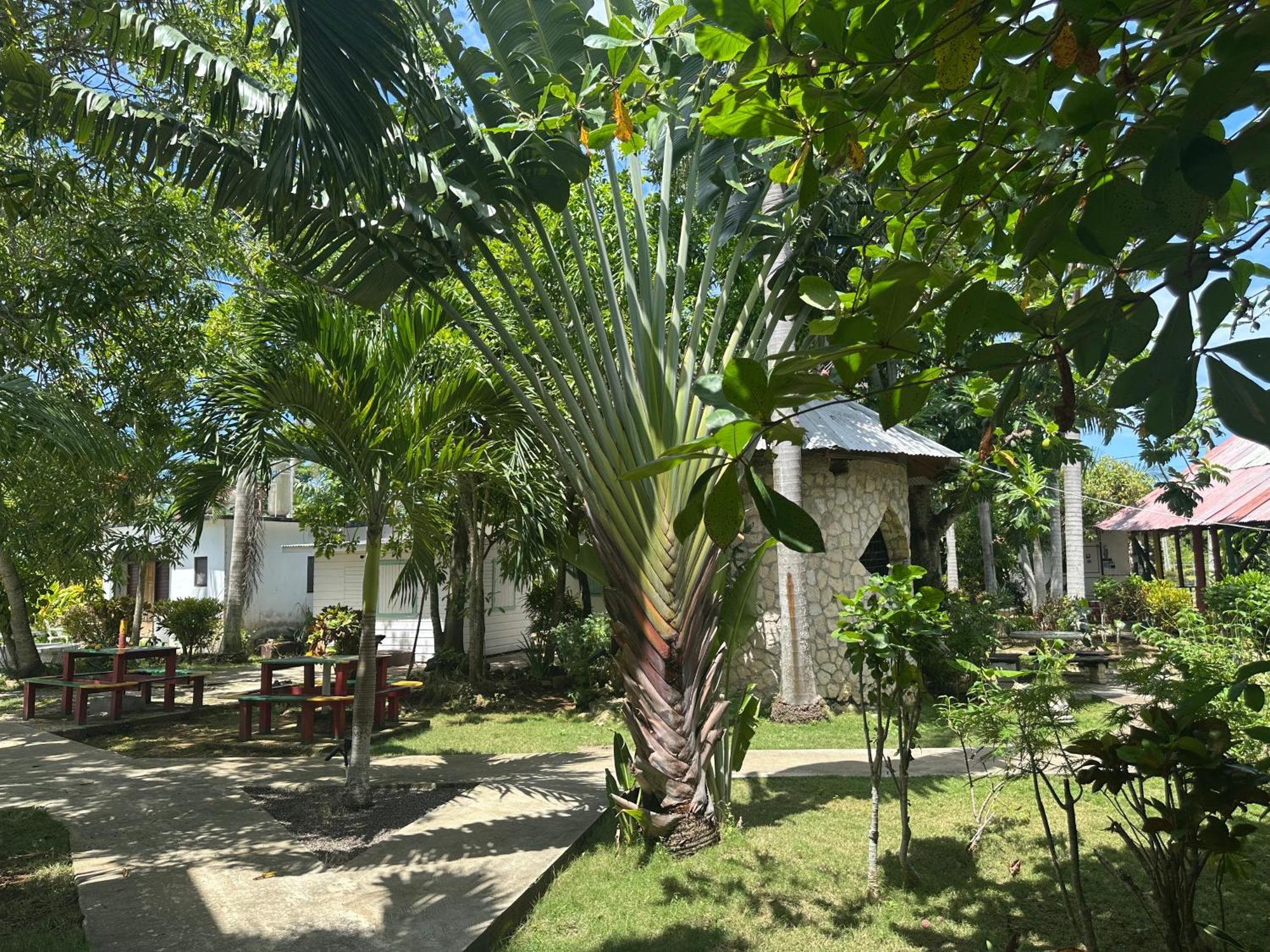 Yoga Dreams Negril Hotel Exterior foto